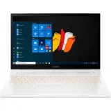 Ноутбук ConceptD 3 Ezel CC314-72G-530R (NX.C5HER.003)