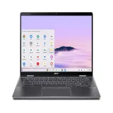 Acer CPE794-1N-55JE NX.JHLAA.007 хромбук